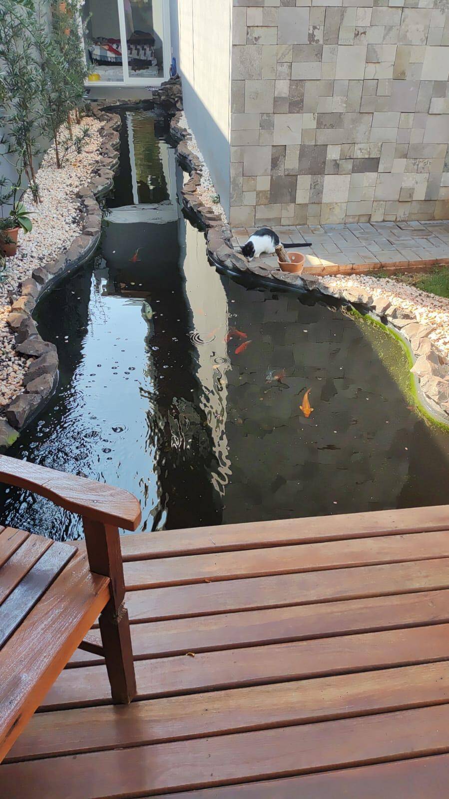 Casa, 3 quartos, 300 m² - Foto 4