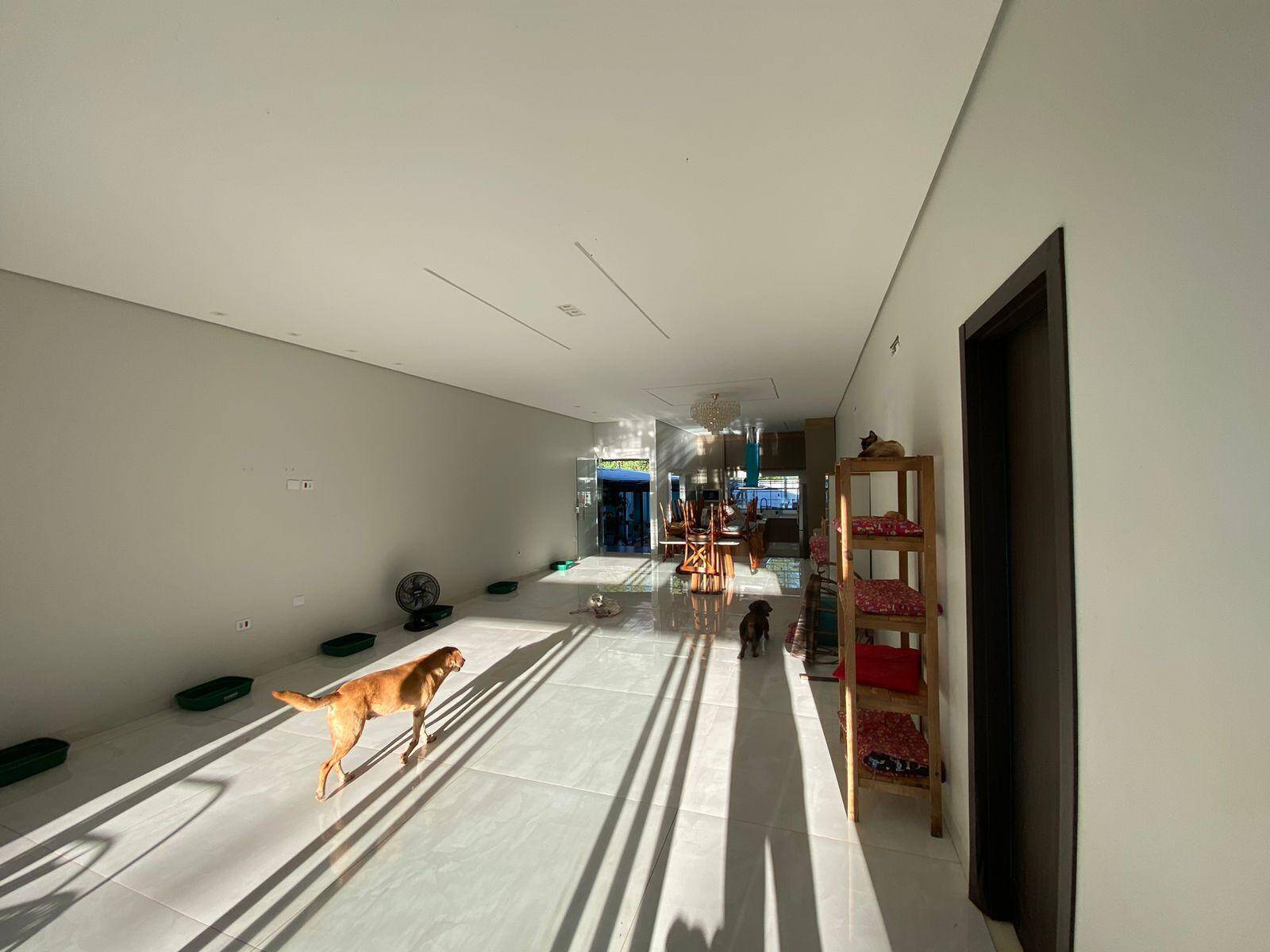 Casa, 3 quartos, 300 m² - Foto 9