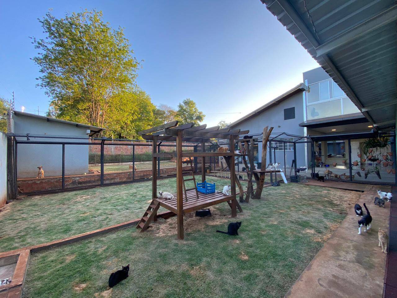 Casa, 3 quartos, 300 m² - Foto 14