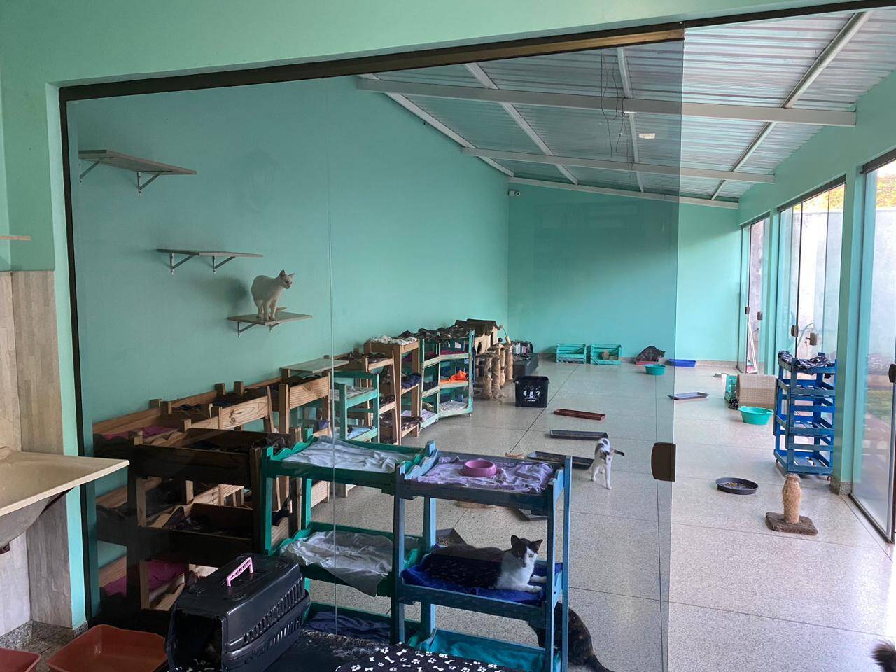 Casa, 3 quartos, 300 m² - Foto 19