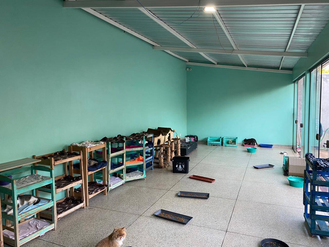 Casa, 3 quartos, 300 m² - Foto 36