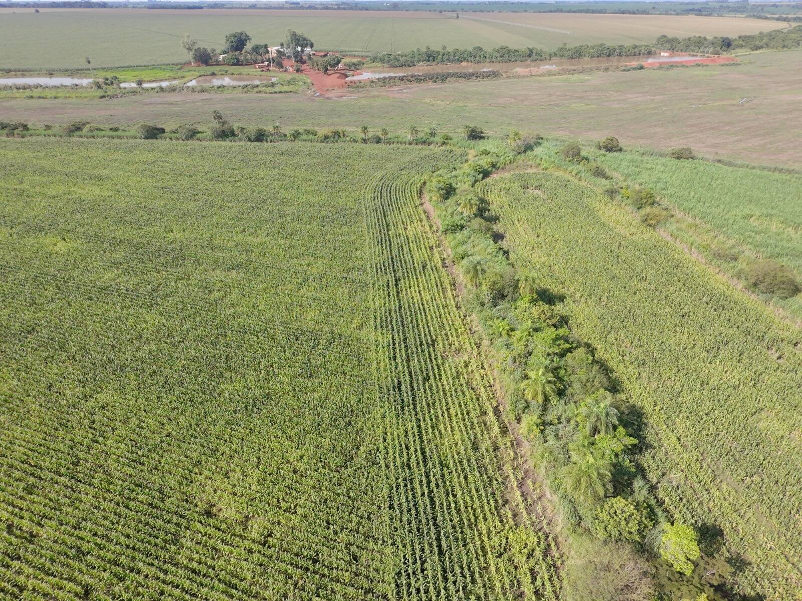 Terreno, 24 hectares - Foto 1