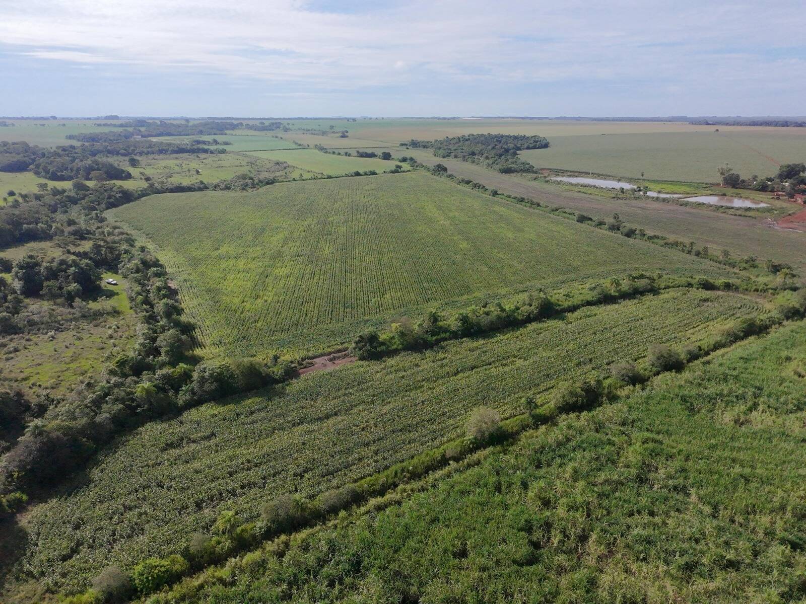 Terreno, 24 hectares - Foto 3