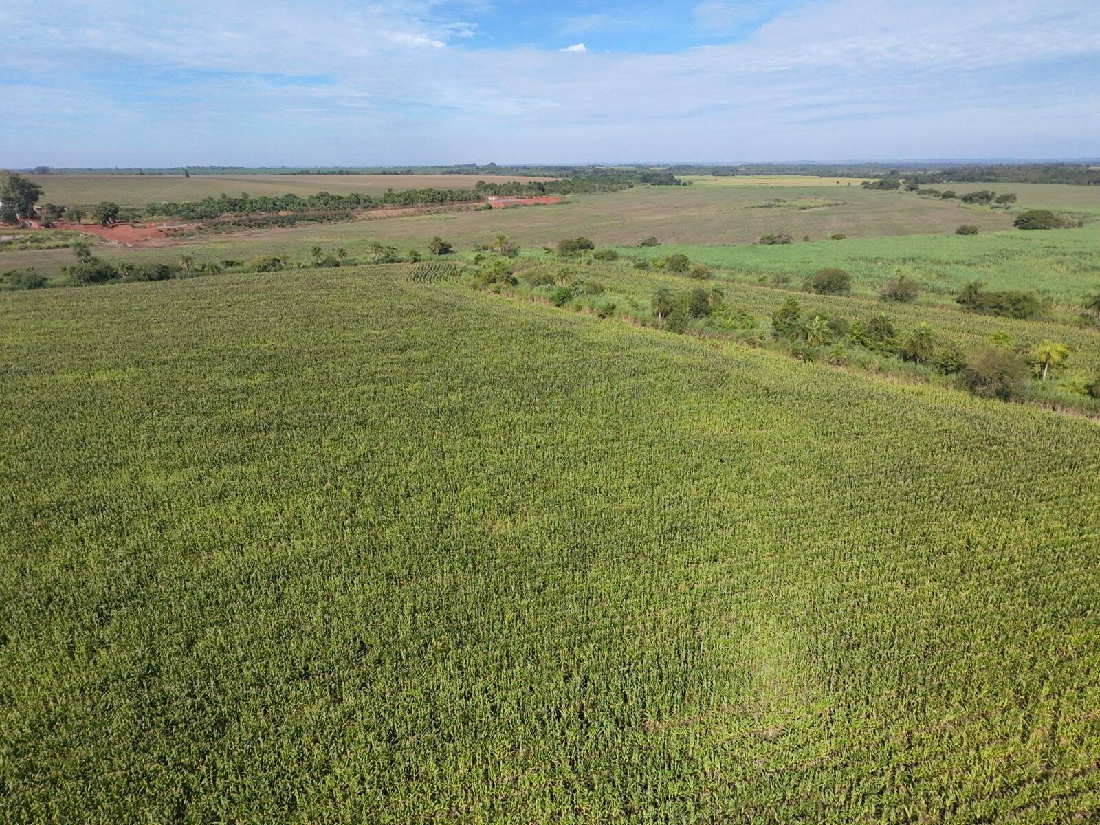 Terreno, 24 hectares - Foto 4