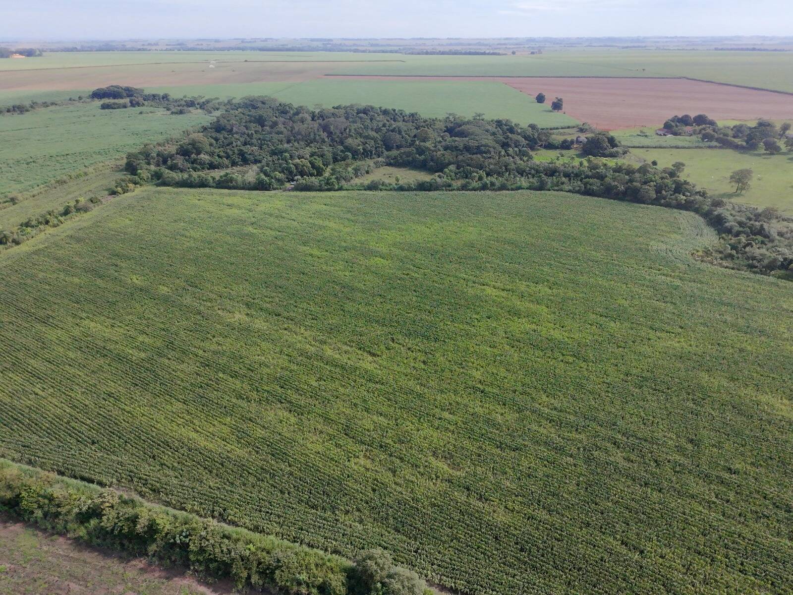 Terreno, 24 hectares - Foto 6