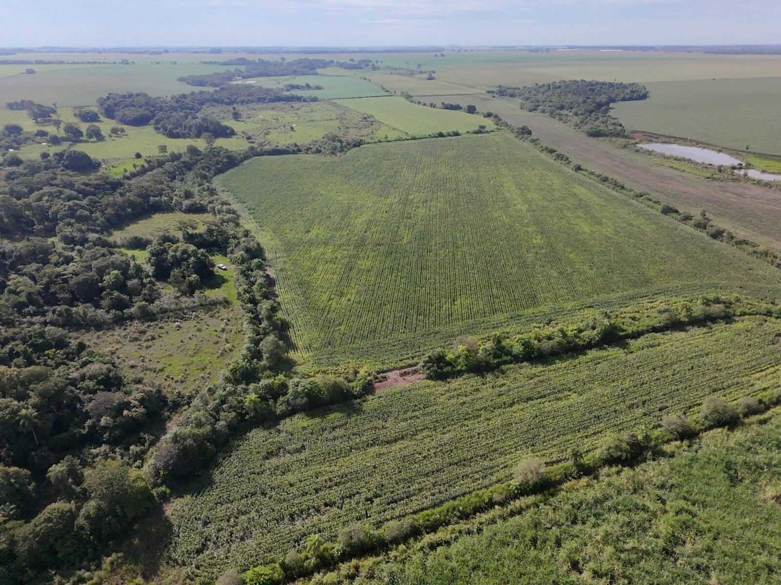 Terreno, 24 hectares - Foto 7