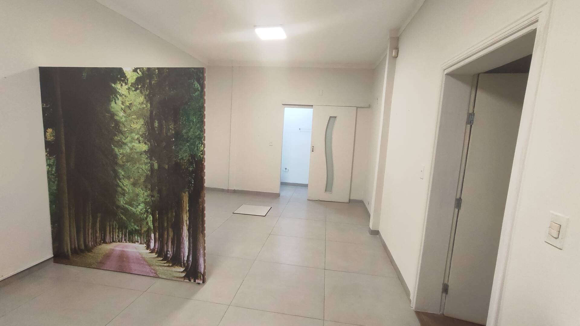 Sala-Conjunto, 281 m² - Foto 13