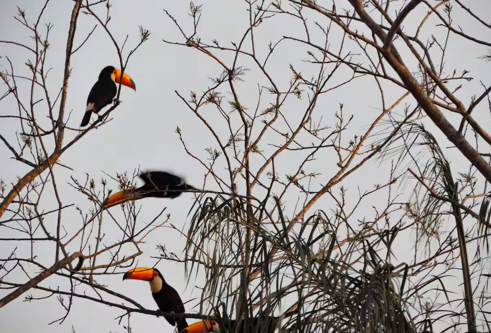 Prédio Inteiro, 152 m² - Foto 14