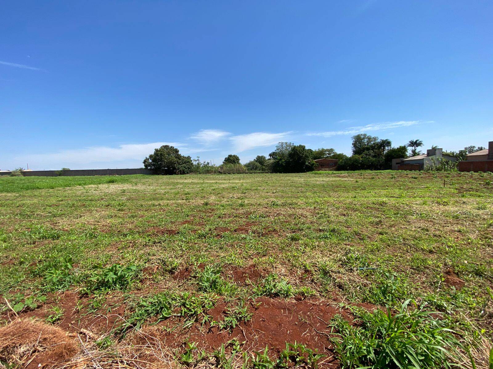 Terreno, 8118 m² - Foto 5