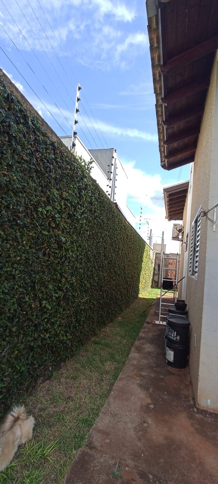 Casa, 2 quartos, 50 m² - Foto 6