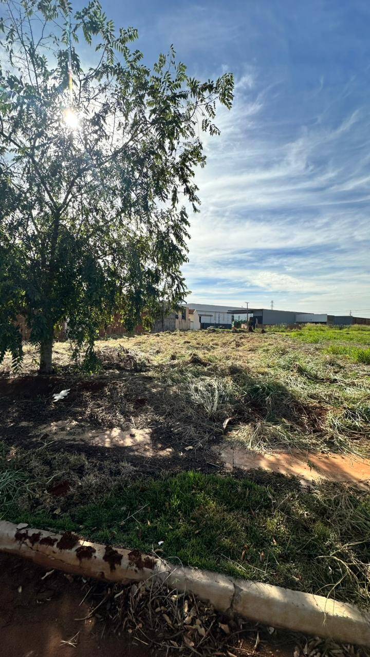 Terreno, 461 m² - Foto 4
