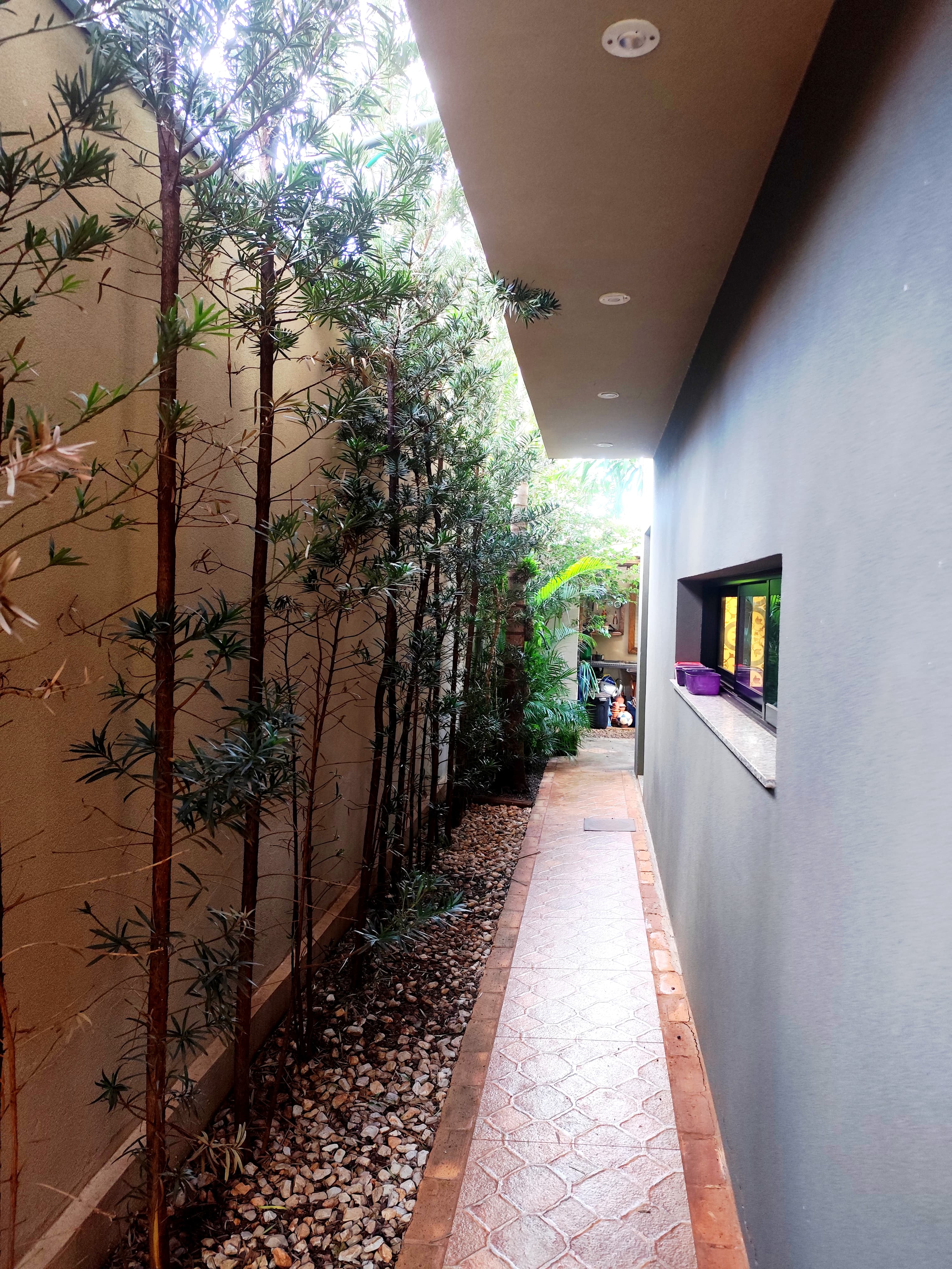 Casa, 4 quartos, 200 m² - Foto 4