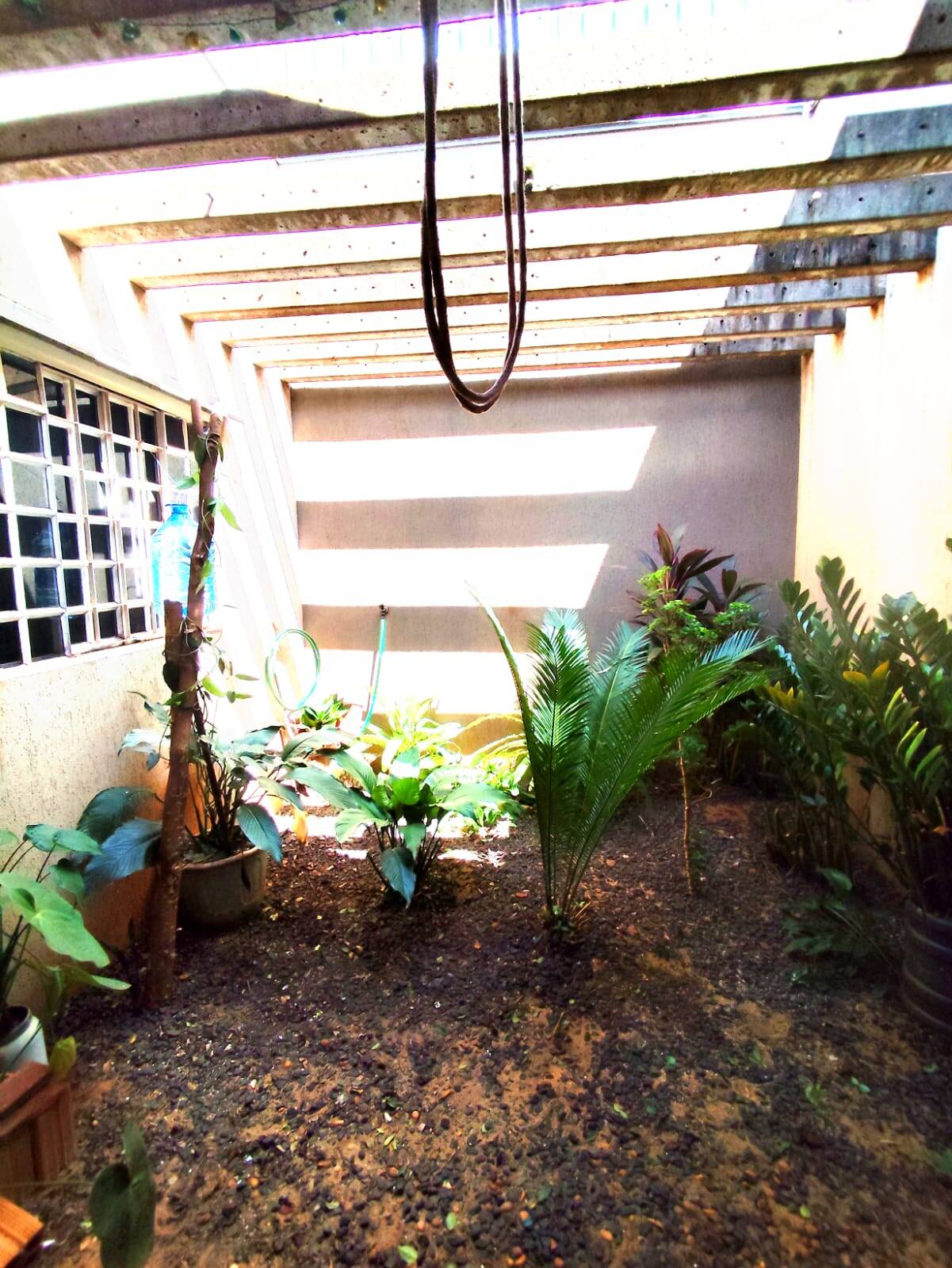 Casa, 3 quartos, 217 m² - Foto 8