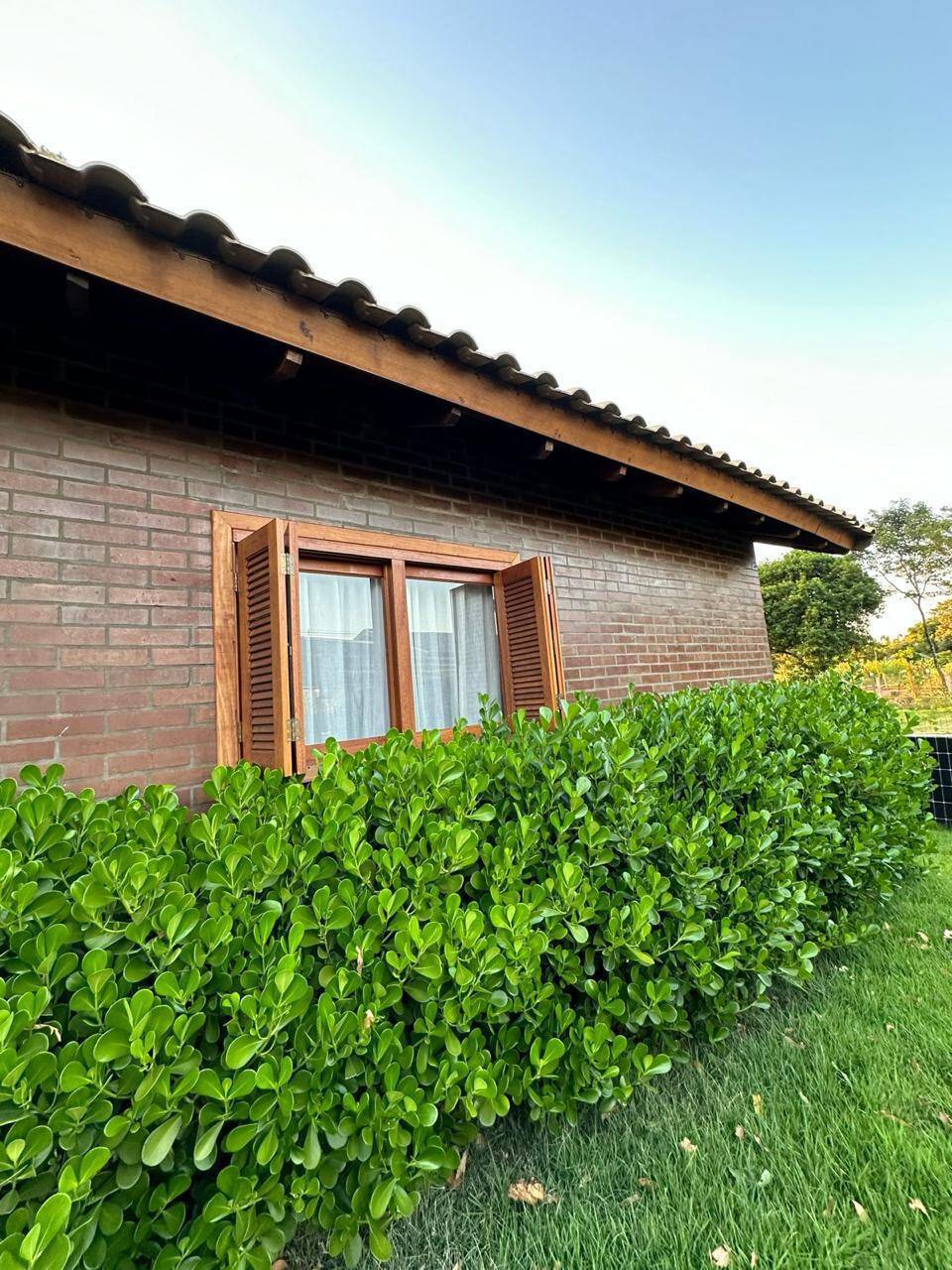 Casa, 2 quartos, 300 m² - Foto 18