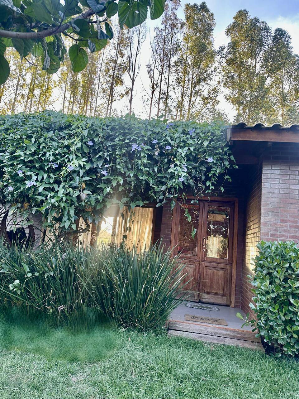 Casa, 2 quartos, 300 m² - Foto 42