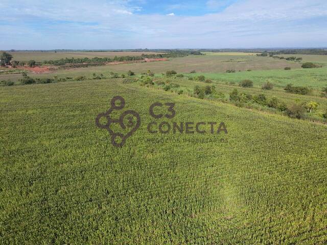 Chácara para Venda em Dourados - 4