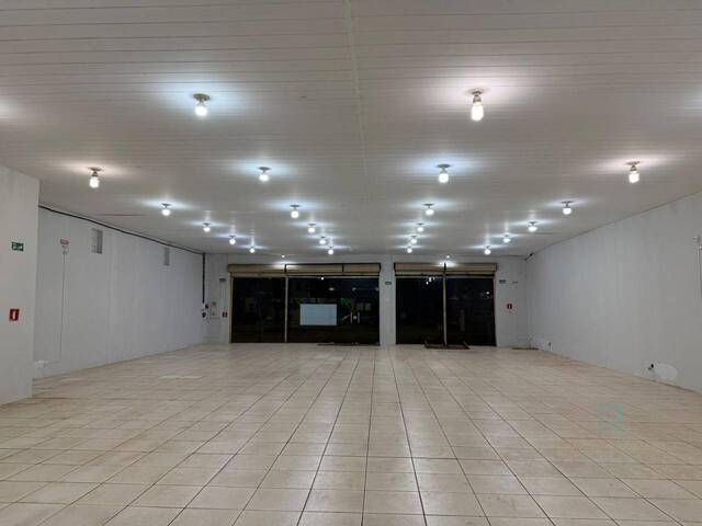 Sala para Locação em Dourados - 4