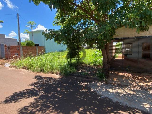 Área para Venda em Dourados - 3