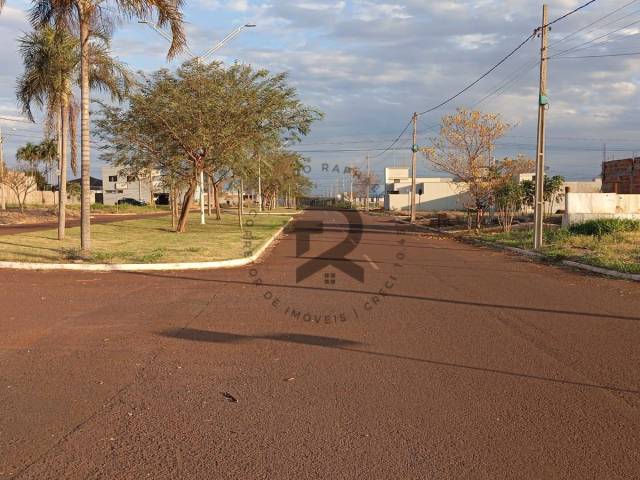 Área para Venda em Dourados - 3