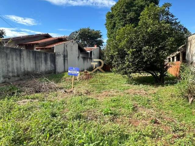 Área para Venda em Dourados - 3