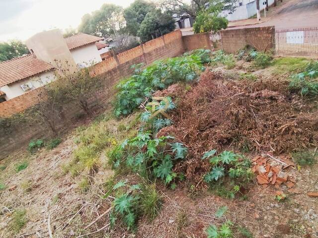 Área para Venda em Dourados - 4