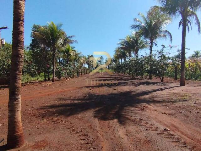 Chácara para Venda em Dourados - 4